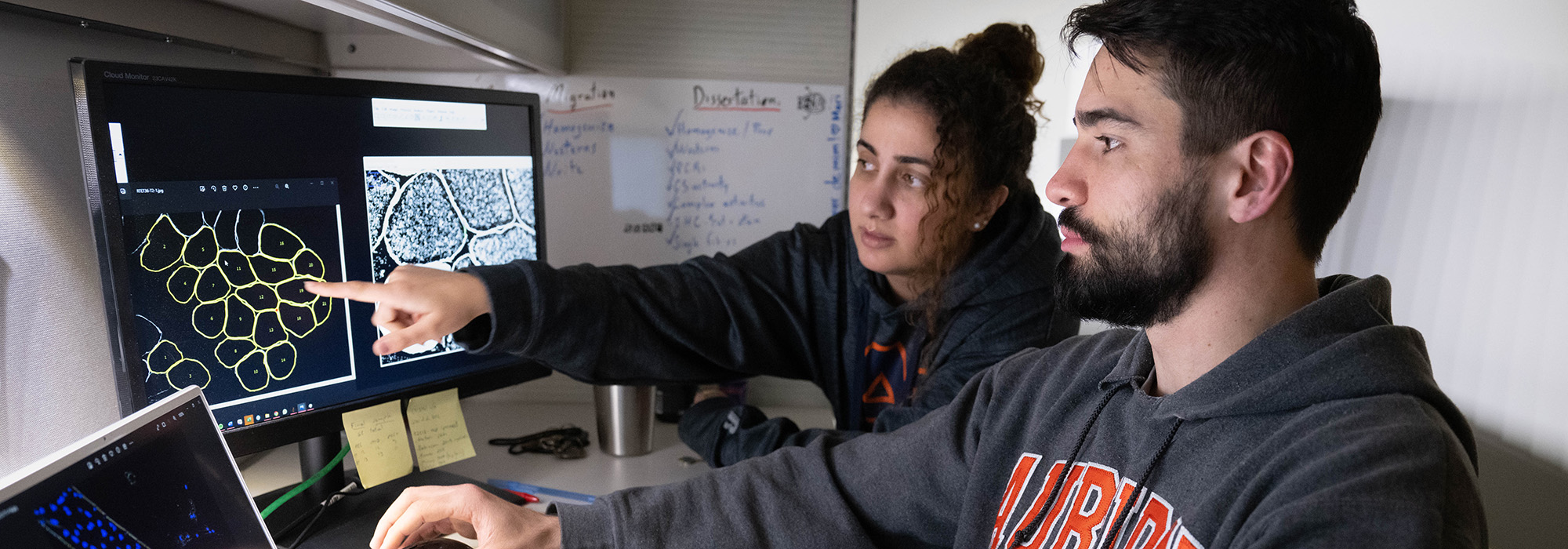 Kinesiology Computer Modeling Lab