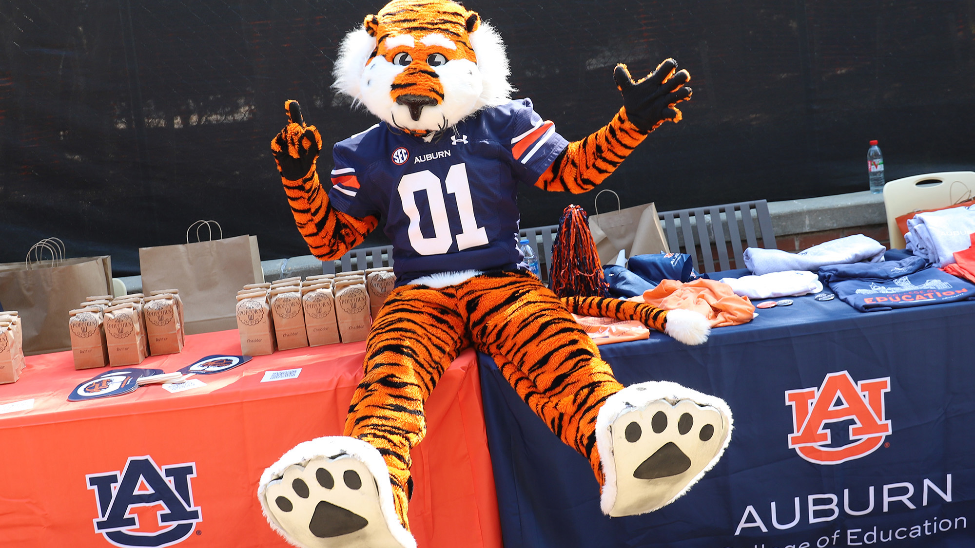 Aubie joins a college event