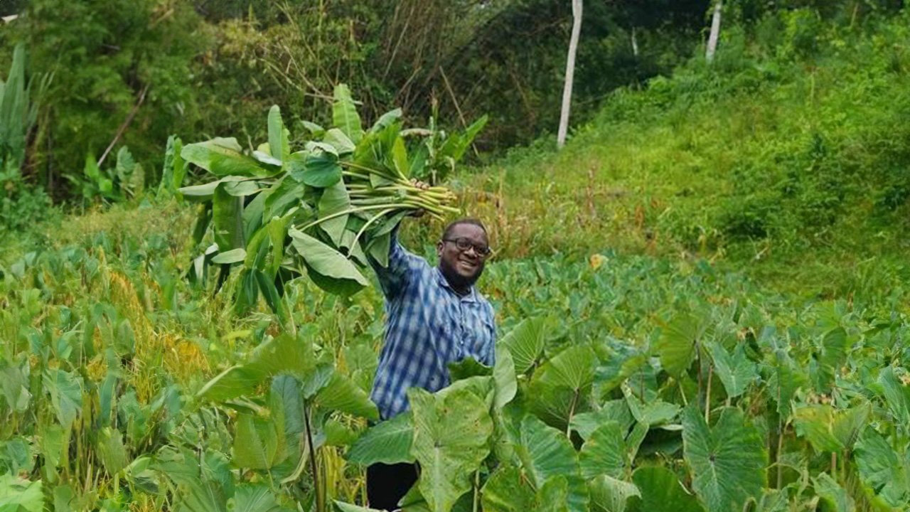 A man holding leaves