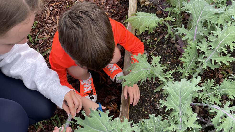 Children learn about gardening at O Grows