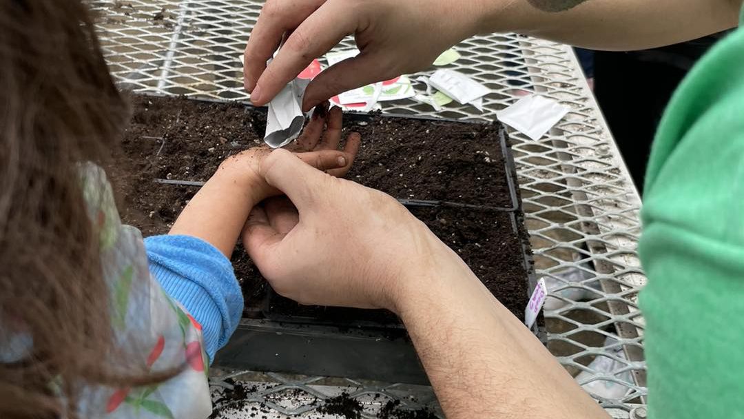 Children learn about planting at O Grows