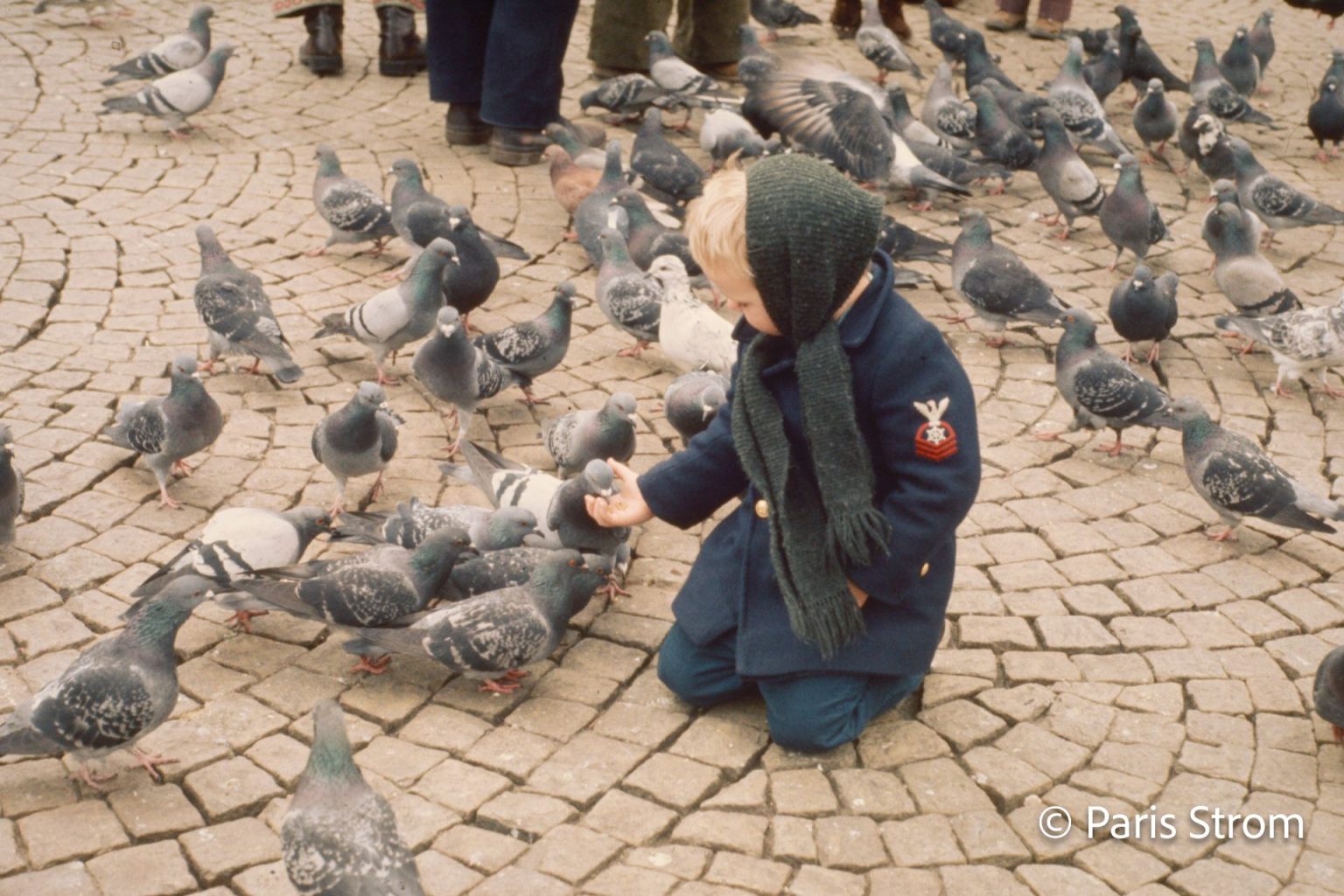A child kneels on the ground and feeds a large group of pigeons.