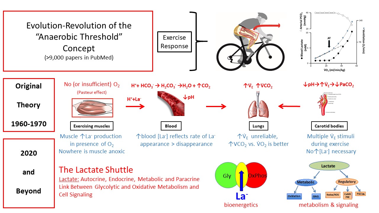 An infographic displaying the Evolution-Revolution Anaerobic Threshold Concept