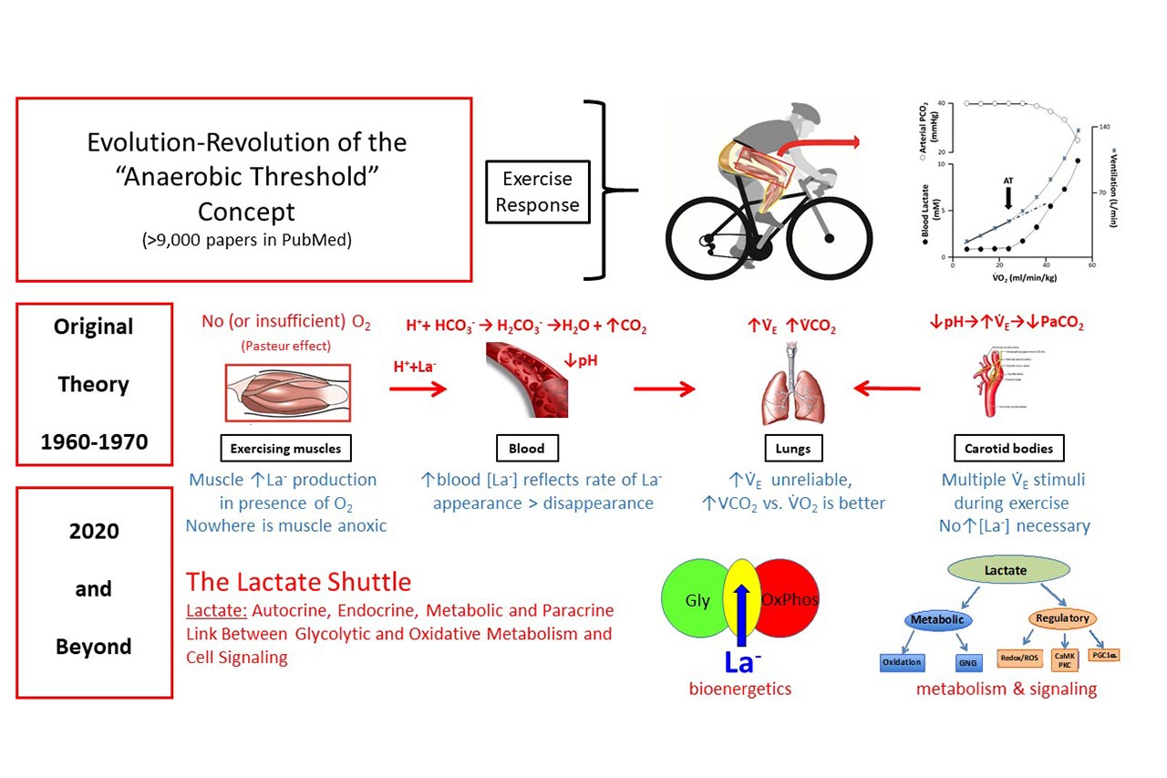 An infographic displaying the Evolution-Revolution Anaerobic Threshold Concept