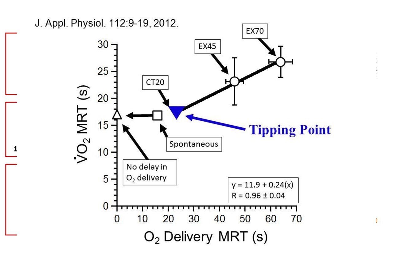 A graph showing V•O2 on-kinetics in isolated canine muscle in situ during slowed convective O2 delivery.