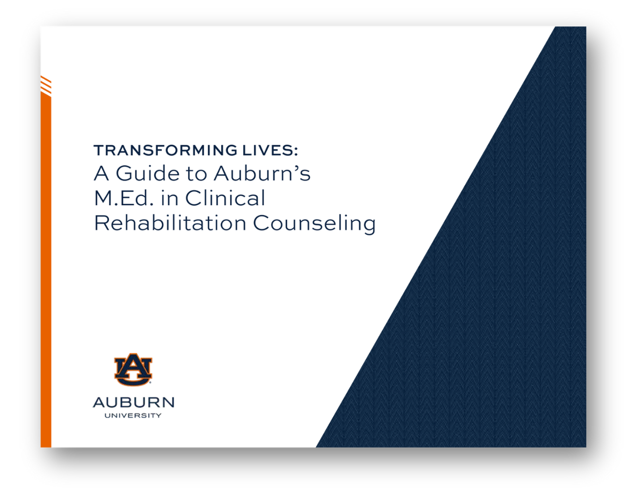 Auburn clinical rehabilitation counseling e-book cover photo